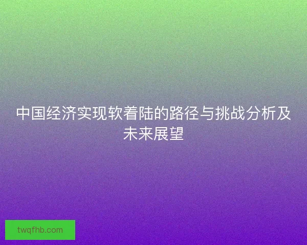 中国经济实现软着陆的路径与挑战分析及未来展望