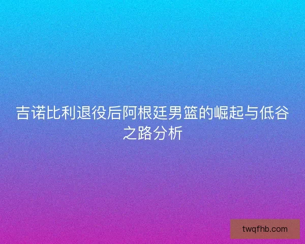 吉诺比利退役后阿根廷男篮的崛起与低谷之路分析