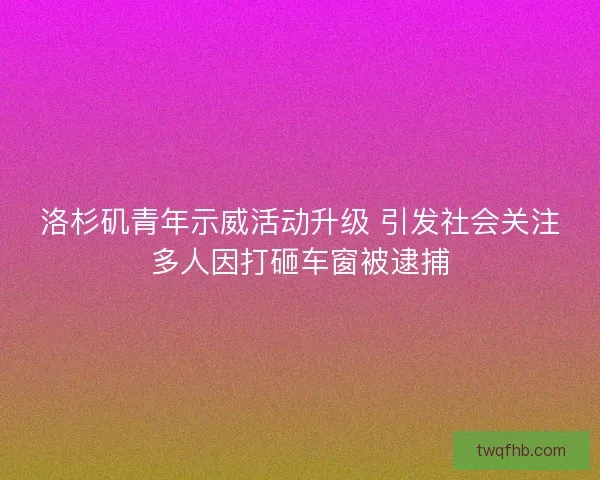 洛杉矶青年示威活动升级 引发社会关注多人因打砸车窗被逮捕