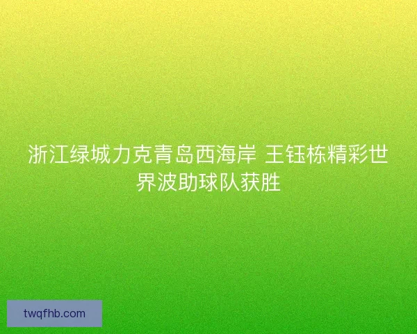 浙江绿城力克青岛西海岸 王钰栋精彩世界波助球队获胜