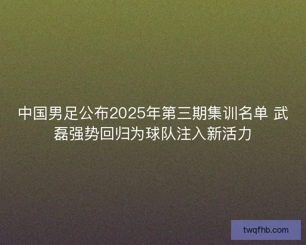 中国男足公布2025年第三期集训名单 武磊强势回归为球队注入新活力